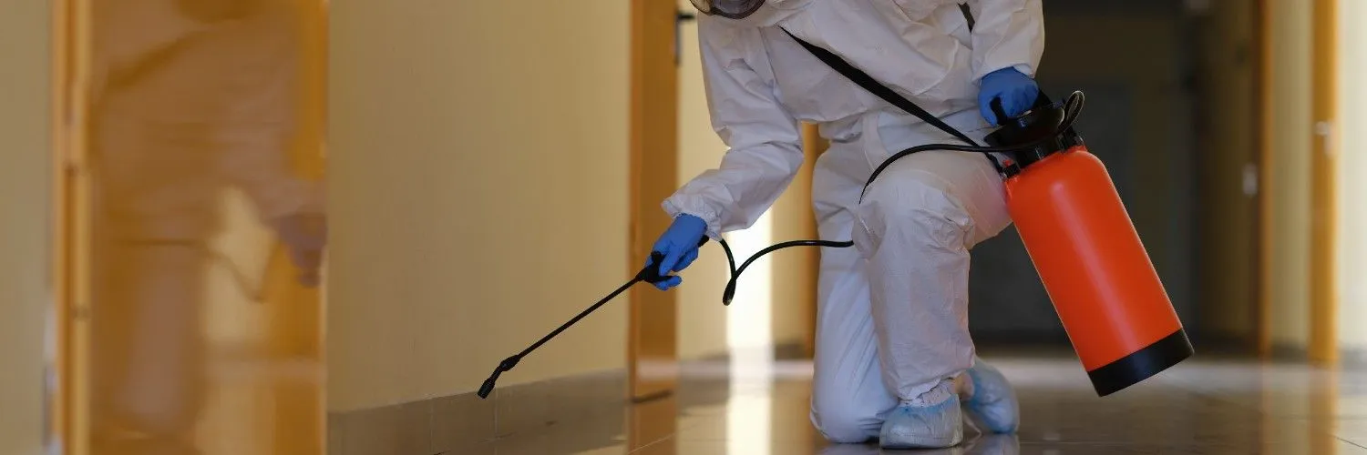 Pest Control Services